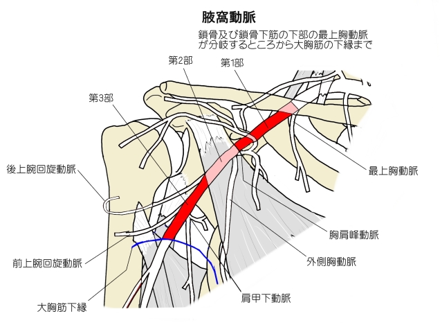 脳梗塞　リハビリ